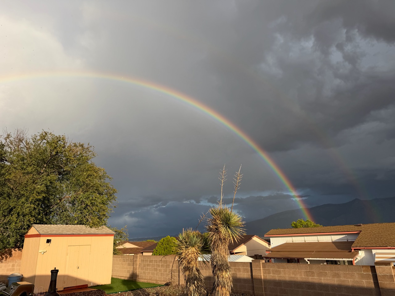 A double rainbow over the Sandia Mountains, with sunlight falling across a Rio Rancho yard.